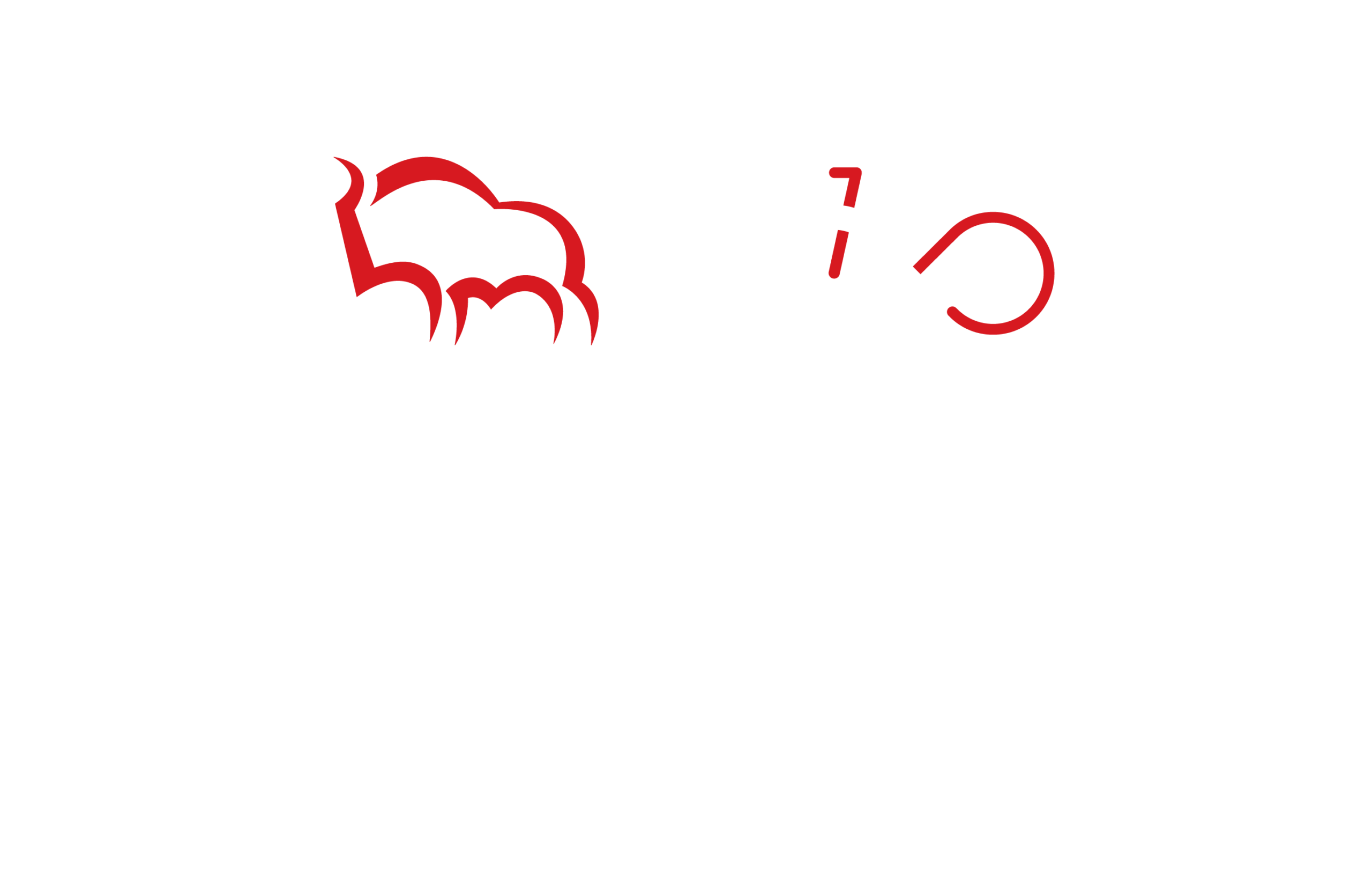 Pekao Bike Conference